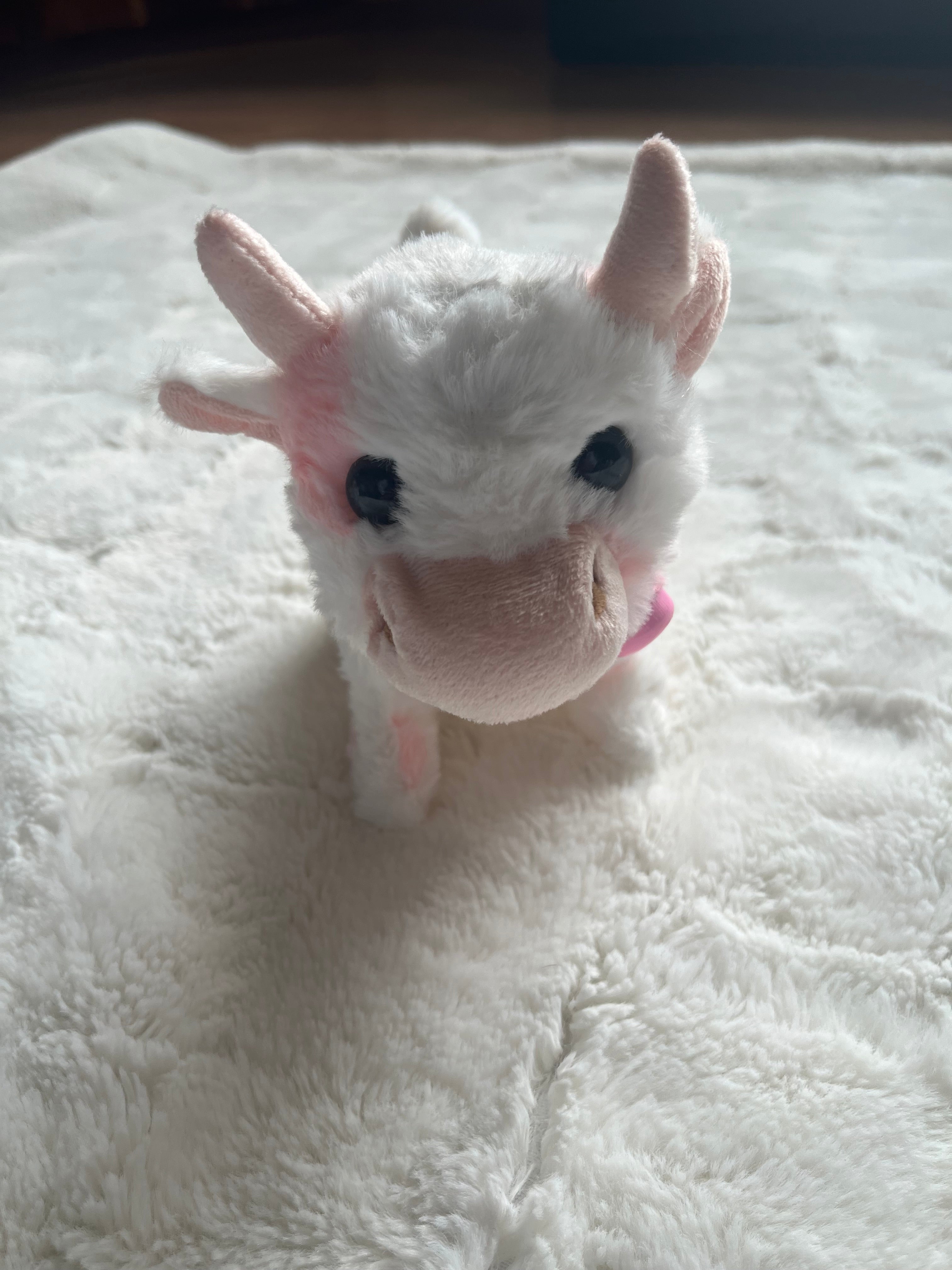 Toy Cows