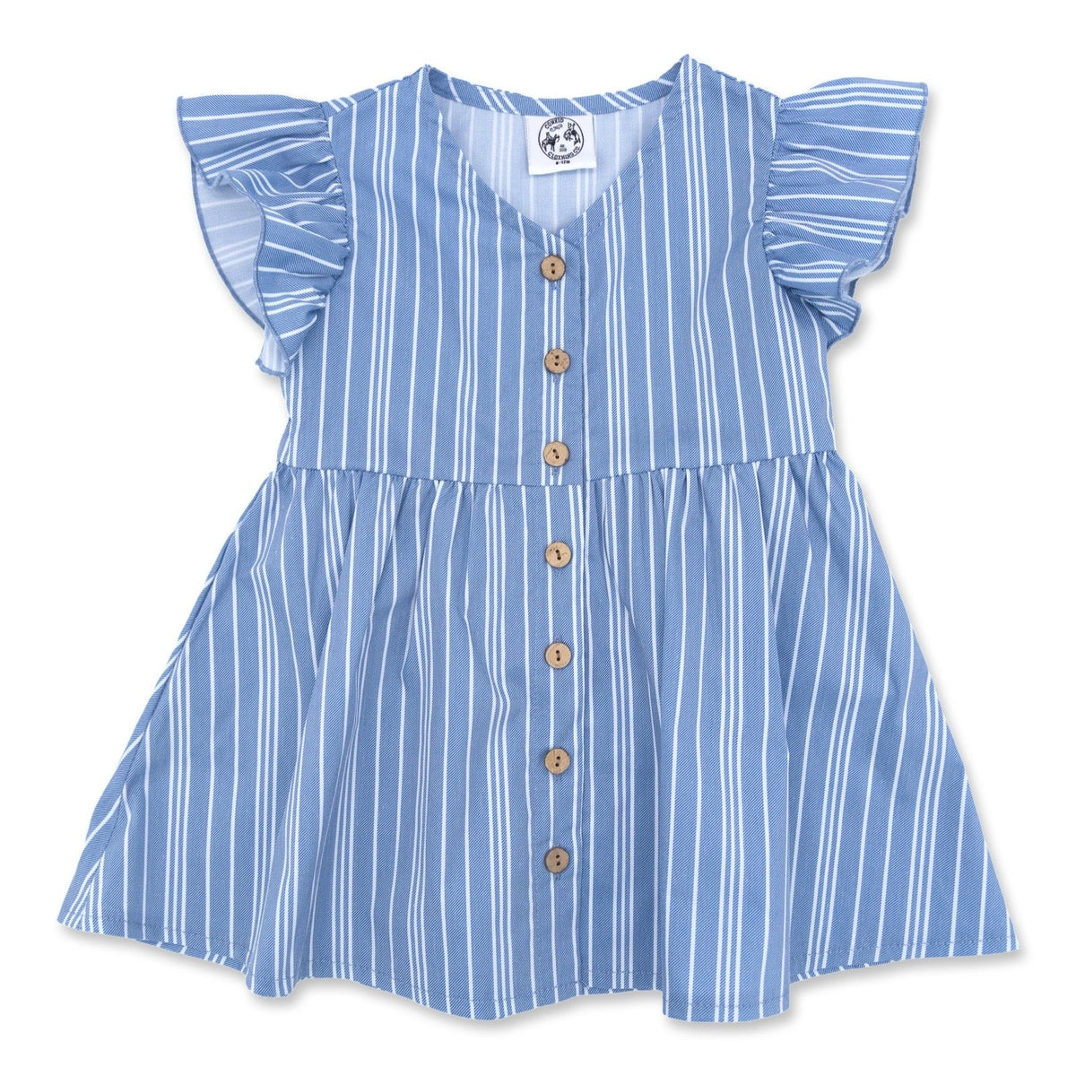 Vintage Blue Flutter Dress